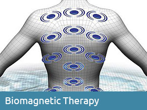 Bio-magnetic Therapy - Twilight Series Hot Tubs